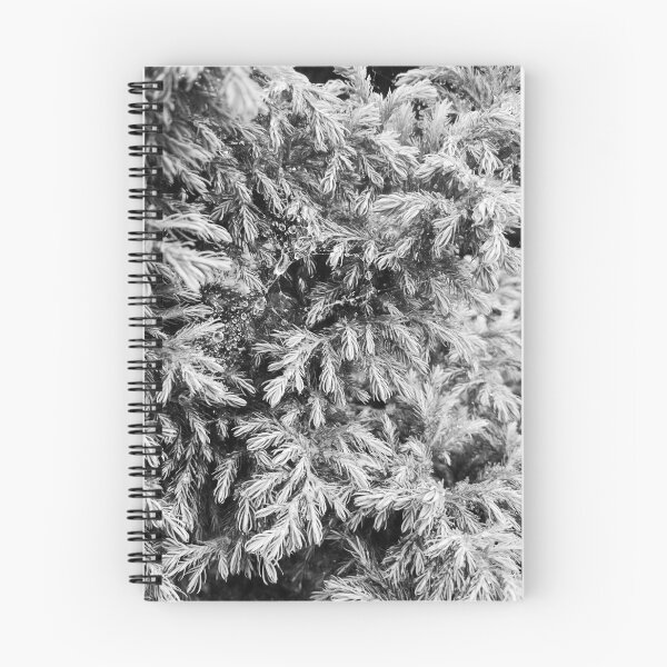 Item preview, Fir tree covered with drops of rain designed and sold by helenkaiy.
