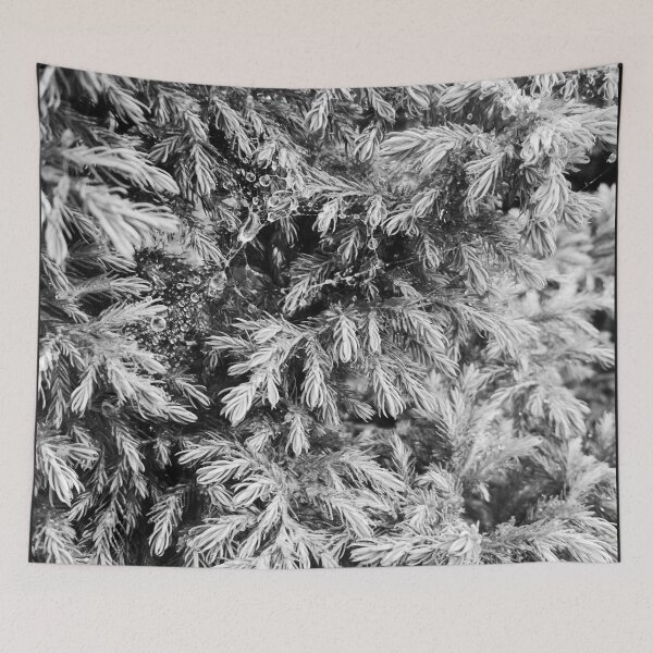 Item preview, Fir tree covered with drops of rain designed and sold by helenkaiy.