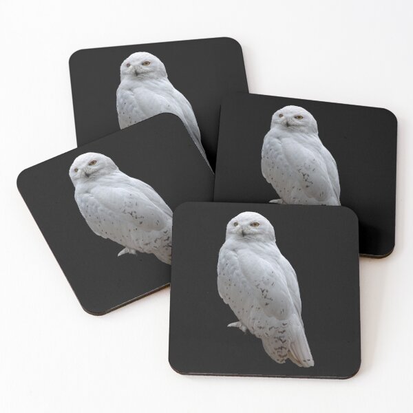 Item preview, SNOW OWL designed and sold by PetsandBeyond.