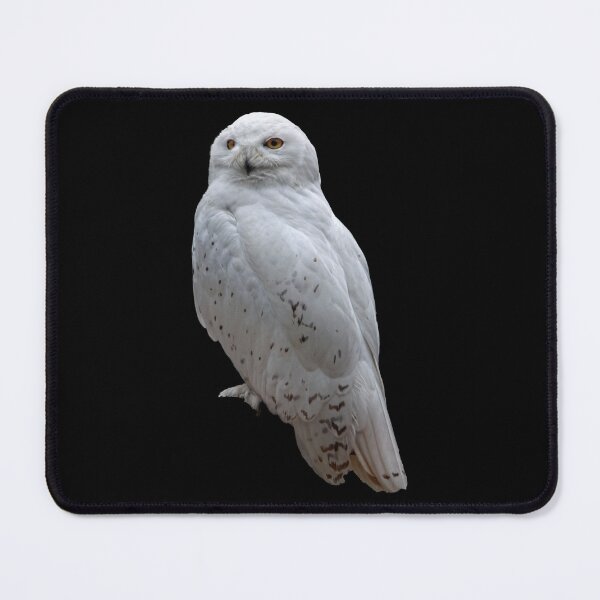 Item preview, SNOW OWL designed and sold by PetsandBeyond.