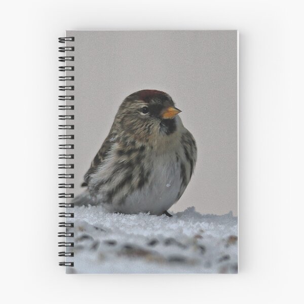 Item preview, Common Redpoll Finch designed and sold by ADM  Photography.