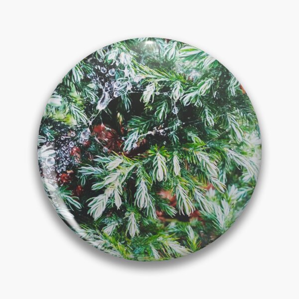 Item preview, Fir tree covered with drops of rain designed and sold by helenkaiy.