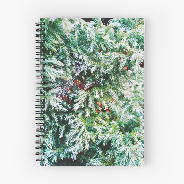 Item preview, Fir tree covered with drops of rain designed and sold by helenkaiy.