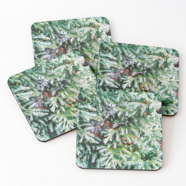 Item preview, Fir tree covered with drops of rain designed and sold by helenkaiy.