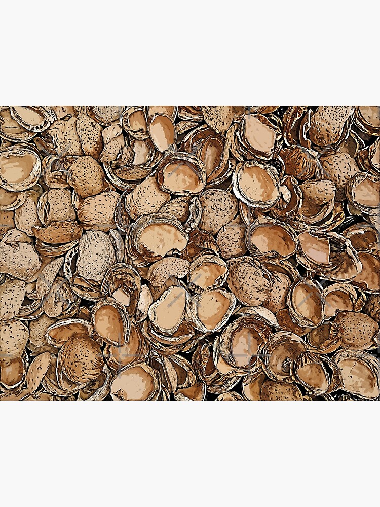 "Almond shell color art" Poster for Sale by artdragongift Redbubble