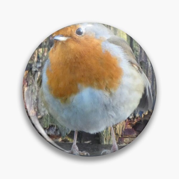 Item preview, robin designed and sold by KathleenDawson.