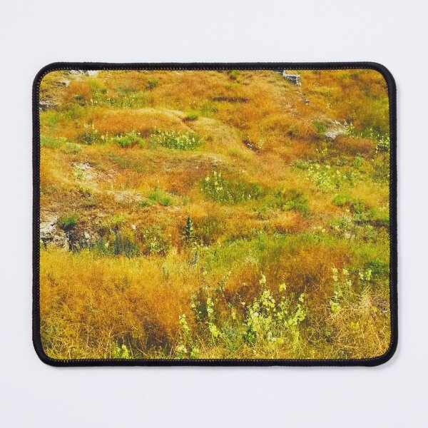 Item preview, Steppe on a bright summer day, natural background  designed and sold by helenkaiy.