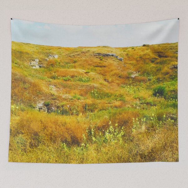 Item preview, Steppe on a bright summer day, natural background  designed and sold by helenkaiy.