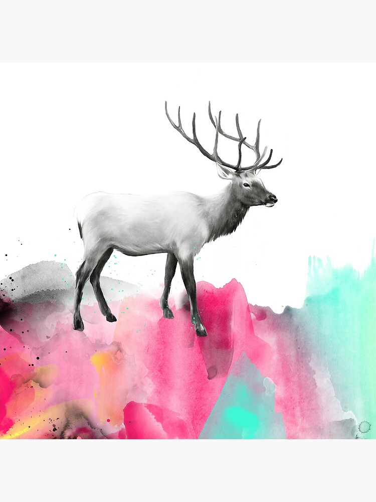 Wild No.2 // Elk by AmyHamilton