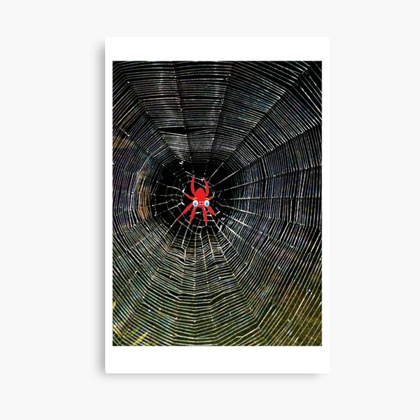 Item preview, Spider On Your Face designed and sold by MottoDigging.