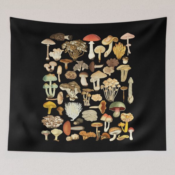 Artikelvorschau, Pilzliebhaber botanische Pilze Pflanzen Morchel Psychedelischer Pilz Forager Pilz Geschenk entworfen und verkauft von naziasapna.