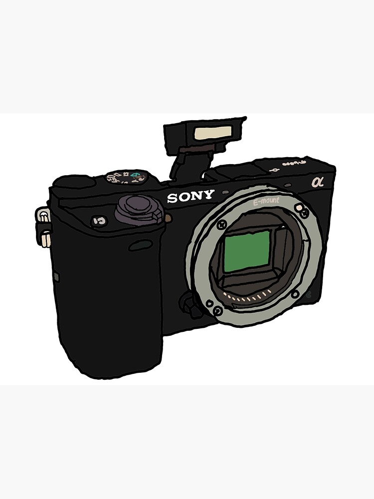 sony alpha a6000 cheat sheet