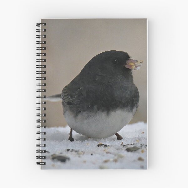 Item preview, Hungry Dark Eyed Junco designed and sold by ADM  Photography.