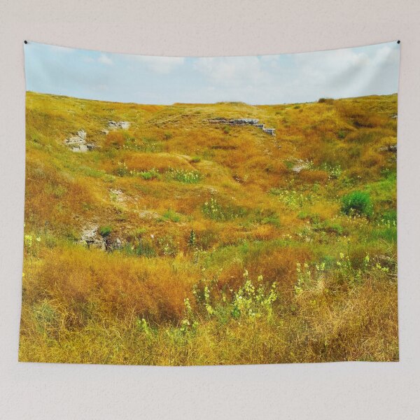 Item preview, Steppe on a bright summer day, natural background  designed and sold by helenkaiy.
