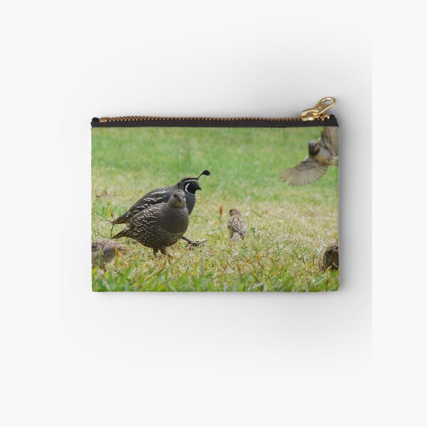 Item preview, Sparrow dive bombing Quails designed and sold by lizdomett.