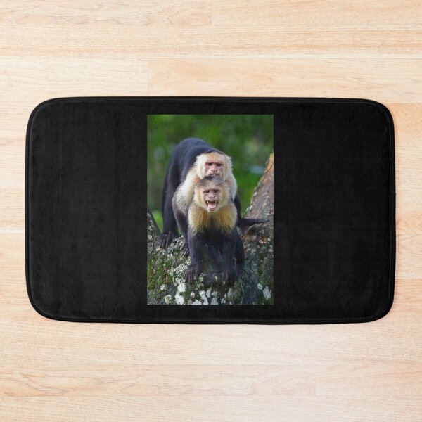 Item preview, Capuchin Monkey Photobomb - Costa Rica Sticker designed and sold by FabianBrendel.