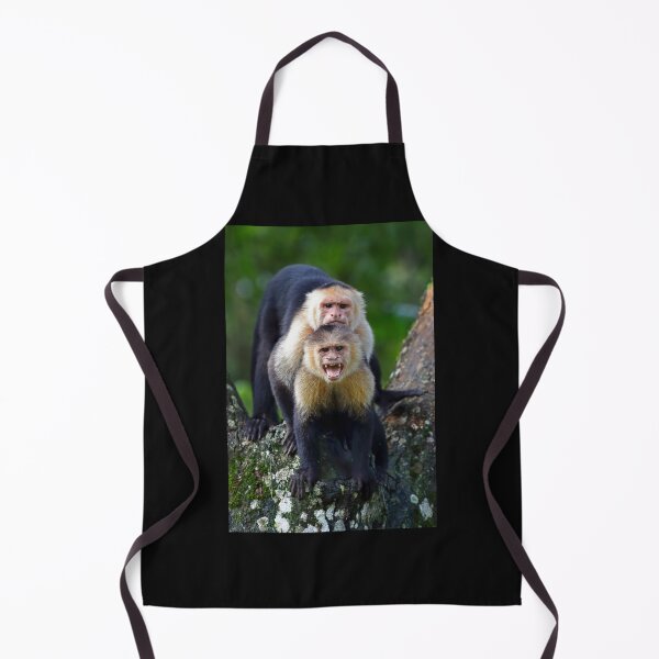 Item preview, Capuchin Monkey Photobomb - Costa Rica Sticker designed and sold by FabianBrendel.