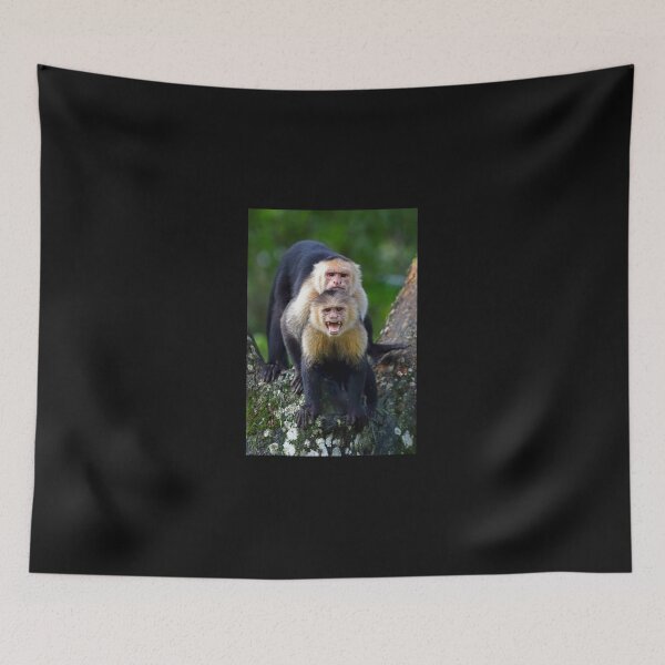 Item preview, Capuchin Monkey Photobomb - Costa Rica Sticker designed and sold by FabianBrendel.