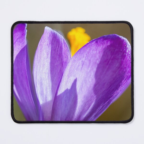Item preview, the flower of the purple crocus designed and sold by Ingo Gerlach.