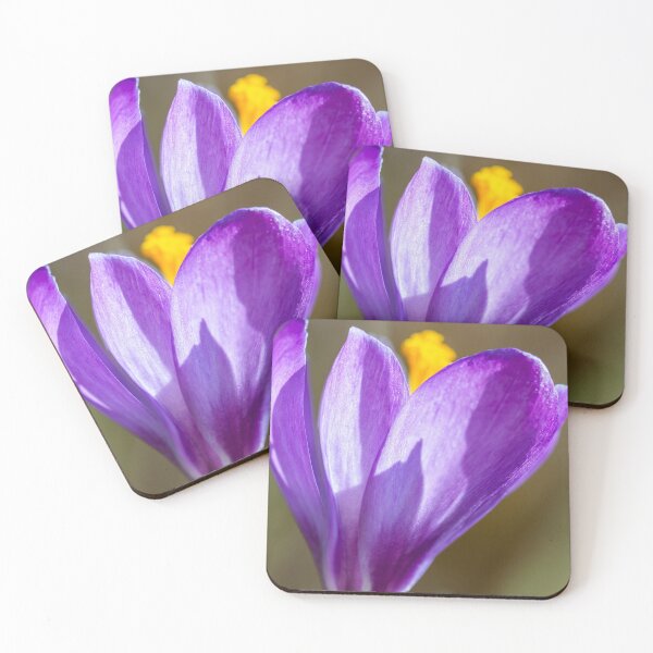 Item preview, the flower of the purple crocus designed and sold by Ingo Gerlach.
