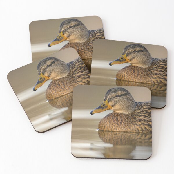 Item preview, Portrait of a female mallard designed and sold by Stefan Rotter.
