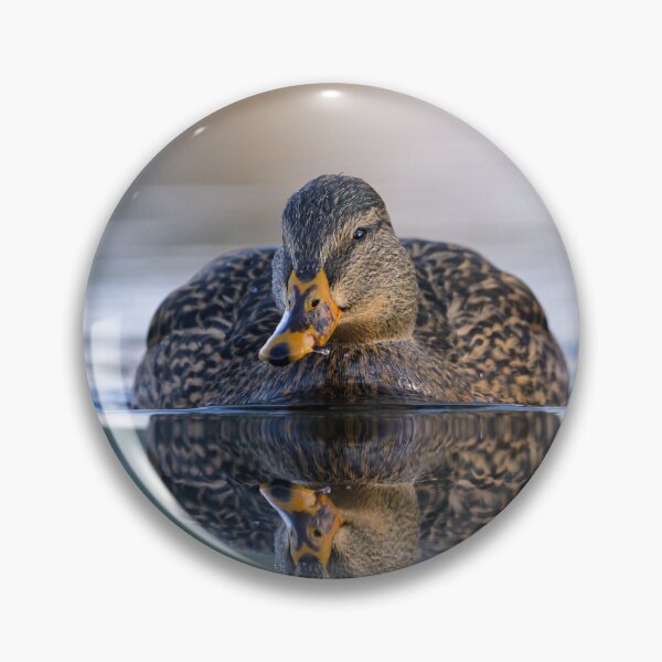 Item preview, Portrait of a female mallard designed and sold by Stefan Rotter.