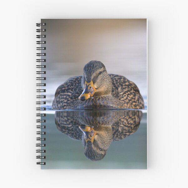 Item preview, Portrait of a female mallard designed and sold by Stefan Rotter.