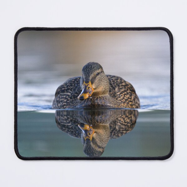 Item preview, Portrait of a female mallard designed and sold by Stefan Rotter.