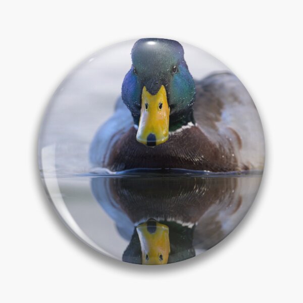 Item preview, Portrait of a male mallard designed and sold by Stefan Rotter.