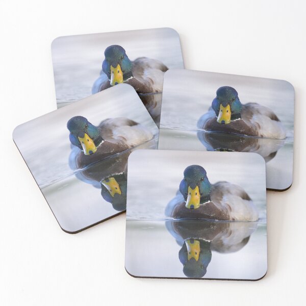 Item preview, Portrait of a male mallard designed and sold by Stefan Rotter.