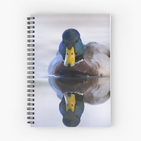 Item preview, Portrait of a male mallard designed and sold by Stefan Rotter.