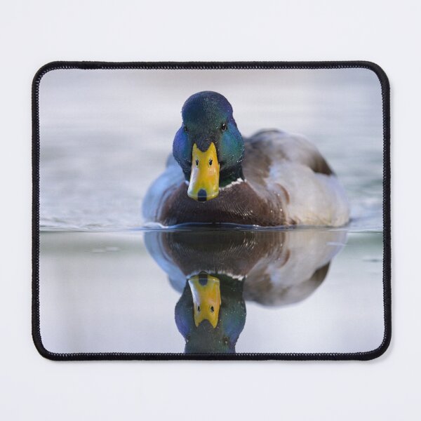 Item preview, Portrait of a male mallard designed and sold by Stefan Rotter.