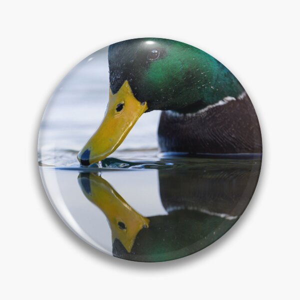 Item preview, Portrait of a male mallard designed and sold by Stefan Rotter.