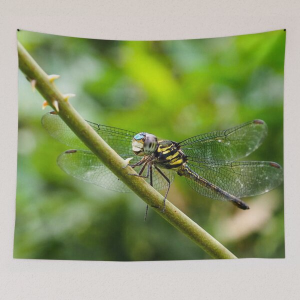 Item preview, cute dragonfly #2 designed and sold by HUNSA.