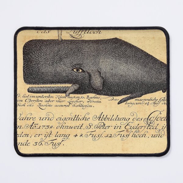 Item preview, Vintage Whale illustration by Johann Anderson, 1746 designed and sold by monsterplanet.