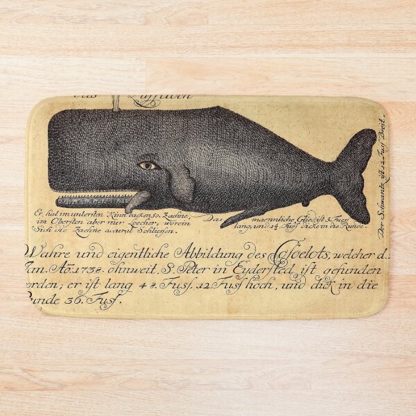 Item preview, Vintage Whale illustration by Johann Anderson, 1746 designed and sold by monsterplanet.