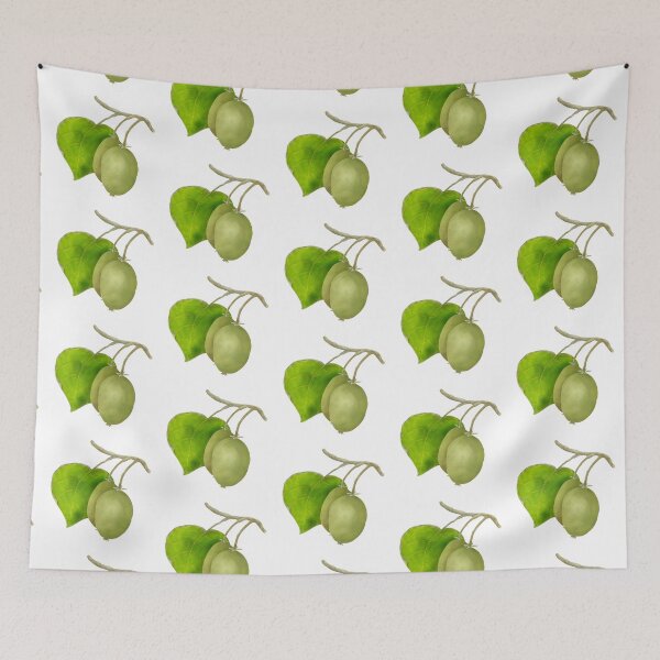 Item preview, Kiwifruits and a leaf designed and sold by Amalus-files.