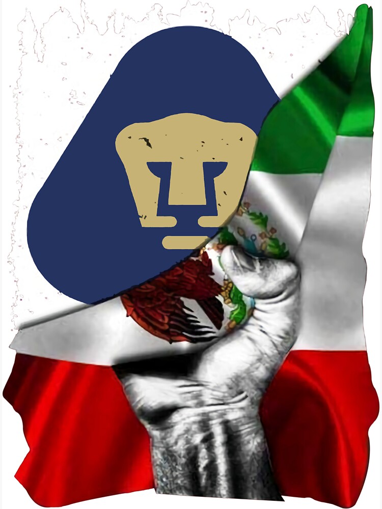 Pumas unam flag online