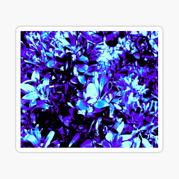 PURPLE BLUE FREEZE Sticker