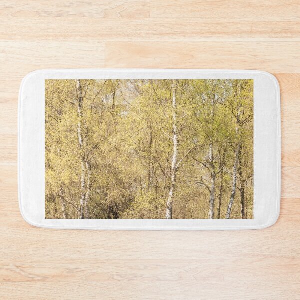 Item preview, Birch trees in spring designed and sold by Ingo Gerlach.