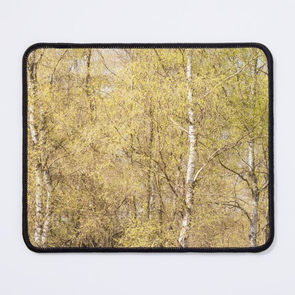 Item preview, Birch trees in spring designed and sold by Ingo Gerlach.