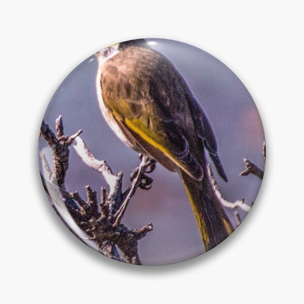 Item preview, Singing Honeyeater designed and sold by indiafrankk.