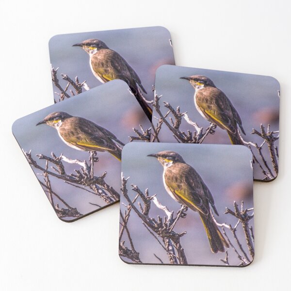 Item preview, Singing Honeyeater designed and sold by indiafrankk.