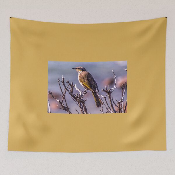 Item preview, Singing Honeyeater designed and sold by indiafrankk.