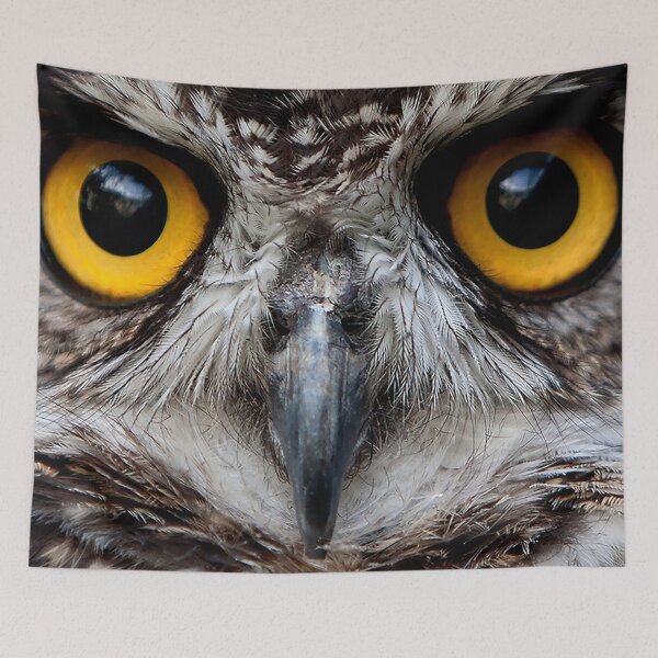 Item preview, Predatory owl gaze designed and sold by Savchenko4Shop.