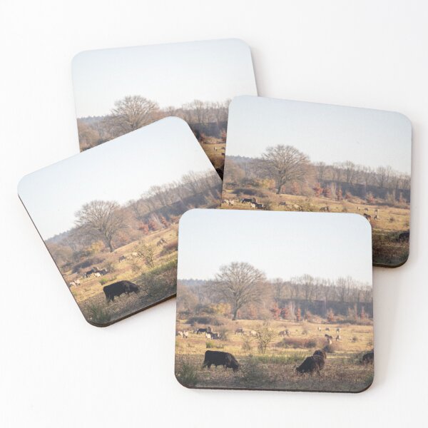 Item preview, Wild horses and galloways in Dutch nature designed and sold by justsannex.