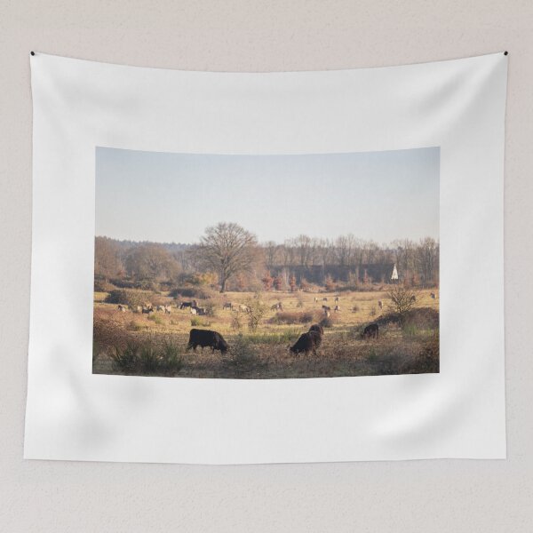 Item preview, Wild horses and galloways in Dutch nature designed and sold by justsannex.