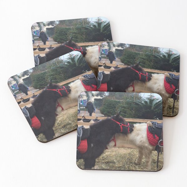 Item preview, Animals, donkey love Saint-Tropez, France Christmas 2021 BIPHOTO designed and sold by BIPHOTONEWS.