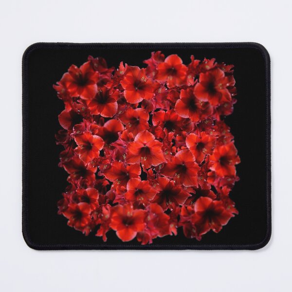 Artikelvorschau, Amaryllis entworfen und verkauft von twixt-two-wheels.