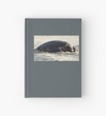 Turtle Resting - Heron Island, Australia Hardcover Journal